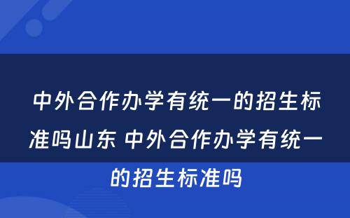 中外合作办学有统一的招生标准吗山东 中外合作办学有统一的招生标准吗