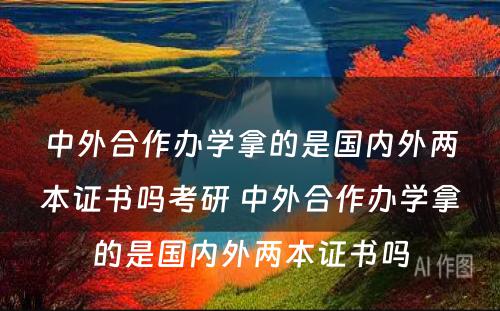 中外合作办学拿的是国内外两本证书吗考研 中外合作办学拿的是国内外两本证书吗