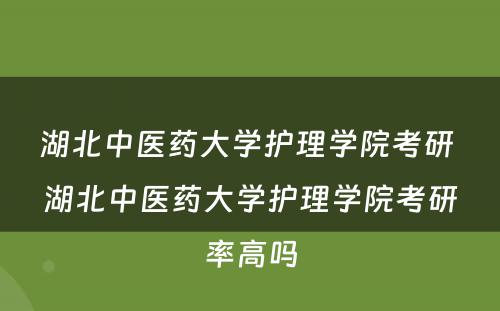湖北中医药大学护理学院考研 湖北中医药大学护理学院考研率高吗