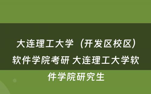 大连理工大学（开发区校区）软件学院考研 大连理工大学软件学院研究生
