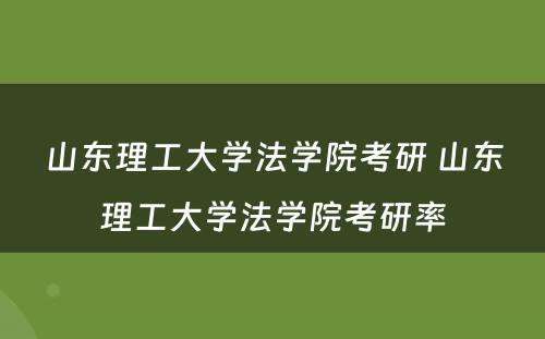 山东理工大学法学院考研 山东理工大学法学院考研率