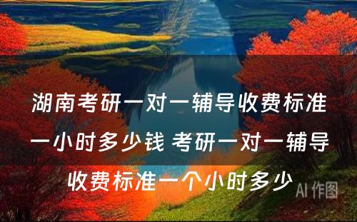 湖南考研一对一辅导收费标准一小时多少钱 考研一对一辅导收费标准一个小时多少