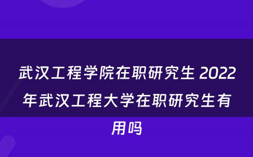 武汉工程学院在职研究生 2022年武汉工程大学在职研究生有用吗