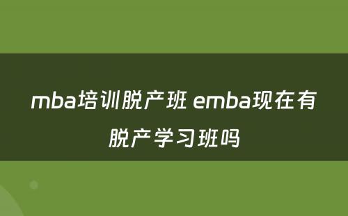 mba培训脱产班 emba现在有脱产学习班吗