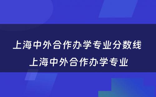 上海中外合作办学专业分数线 上海中外合作办学专业