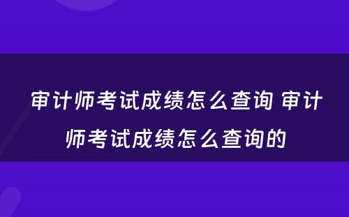 审计师考试成绩怎么查询 审计师考试成绩怎么查询的