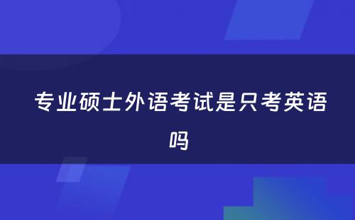  专业硕士外语考试是只考英语吗