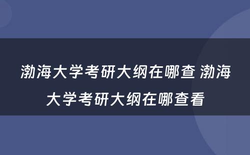 渤海大学考研大纲在哪查 渤海大学考研大纲在哪查看