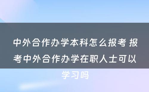 中外合作办学本科怎么报考 报考中外合作办学在职人士可以学习吗