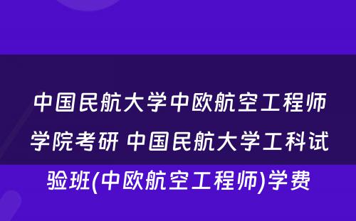 中国民航大学中欧航空工程师学院考研 中国民航大学工科试验班(中欧航空工程师)学费