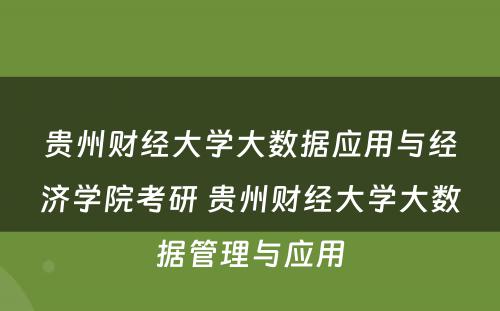 贵州财经大学大数据应用与经济学院考研 贵州财经大学大数据管理与应用