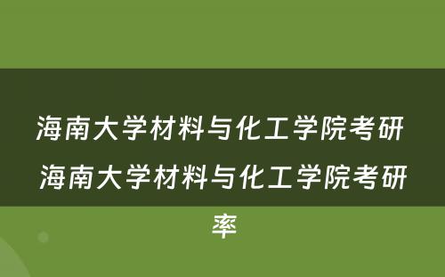 海南大学材料与化工学院考研 海南大学材料与化工学院考研率