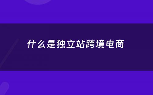 什么是独立站跨境电商 