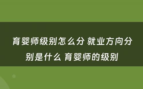育婴师级别怎么分 就业方向分别是什么 育婴师的级别