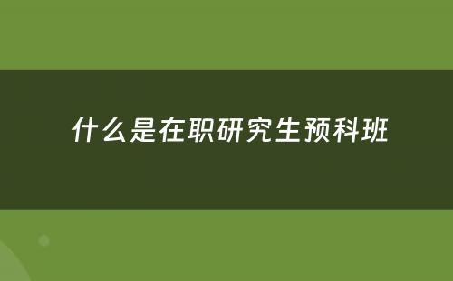  什么是在职研究生预科班