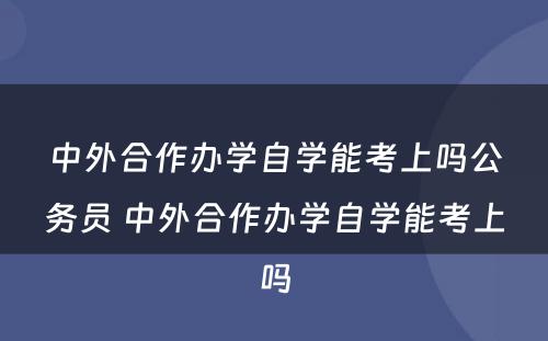 中外合作办学自学能考上吗公务员 中外合作办学自学能考上吗