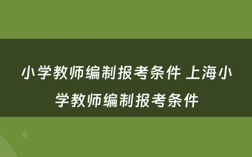小学教师编制报考条件 上海小学教师编制报考条件