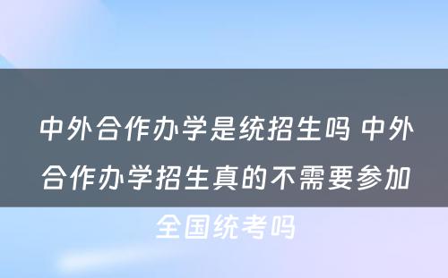 中外合作办学是统招生吗 中外合作办学招生真的不需要参加全国统考吗