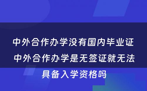 中外合作办学没有国内毕业证 中外合作办学是无签证就无法具备入学资格吗