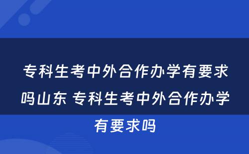 专科生考中外合作办学有要求吗山东 专科生考中外合作办学有要求吗