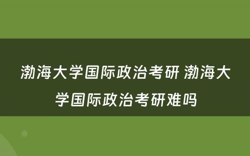渤海大学国际政治考研 渤海大学国际政治考研难吗