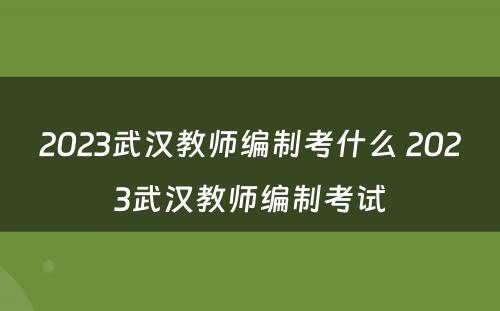 2023武汉教师编制考什么 2023武汉教师编制考试