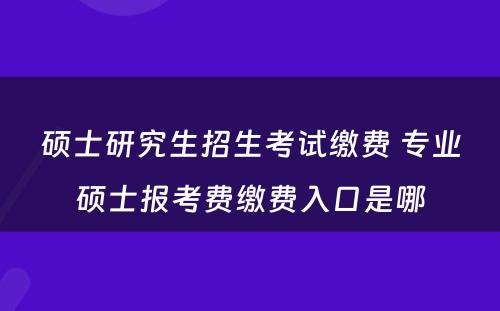 硕士研究生招生考试缴费 专业硕士报考费缴费入口是哪