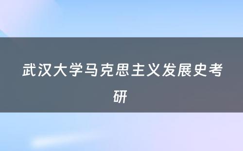 武汉大学马克思主义发展史考研 
