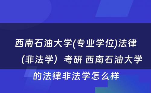 西南石油大学(专业学位)法律（非法学）考研 西南石油大学的法律非法学怎么样