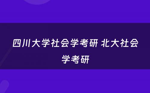 四川大学社会学考研 北大社会学考研