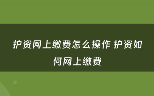 护资网上缴费怎么操作 护资如何网上缴费