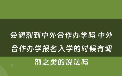 会调剂到中外合作办学吗 中外合作办学报名入学的时候有调剂之类的说法吗