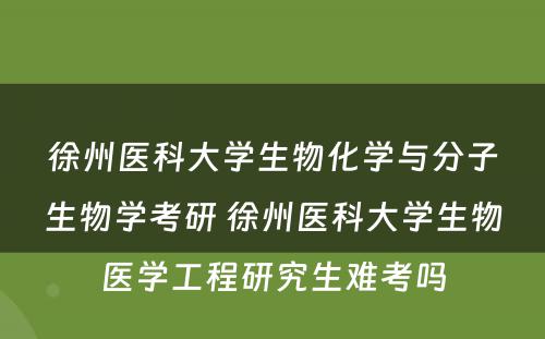 徐州医科大学生物化学与分子生物学考研 徐州医科大学生物医学工程研究生难考吗