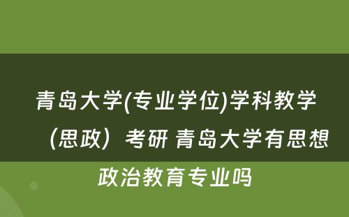 青岛大学(专业学位)学科教学（思政）考研 青岛大学有思想政治教育专业吗