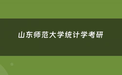 山东师范大学统计学考研 