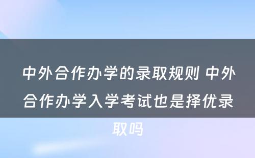 中外合作办学的录取规则 中外合作办学入学考试也是择优录取吗