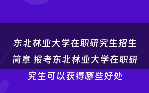 东北林业大学在职研究生招生简章 报考东北林业大学在职研究生可以获得哪些好处