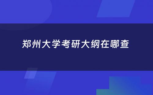 郑州大学考研大纲在哪查 