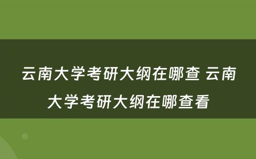 云南大学考研大纲在哪查 云南大学考研大纲在哪查看