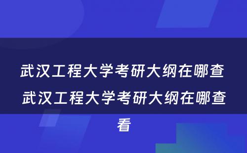武汉工程大学考研大纲在哪查 武汉工程大学考研大纲在哪查看