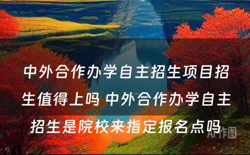 中外合作办学自主招生项目招生值得上吗 中外合作办学自主招生是院校来指定报名点吗