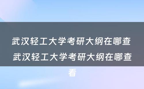 武汉轻工大学考研大纲在哪查 武汉轻工大学考研大纲在哪查看