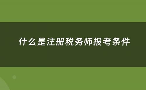  什么是注册税务师报考条件