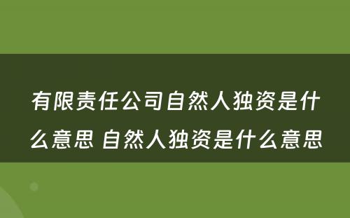 有限责任公司自然人独资是什么意思 自然人独资是什么意思