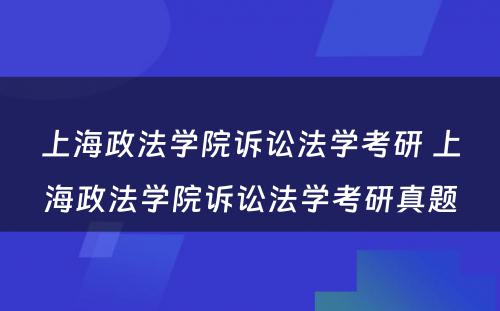 上海政法学院诉讼法学考研 上海政法学院诉讼法学考研真题
