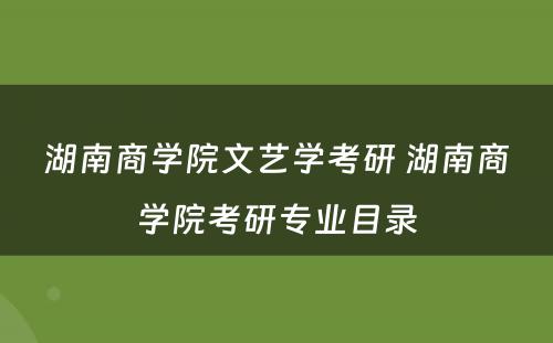 湖南商学院文艺学考研 湖南商学院考研专业目录