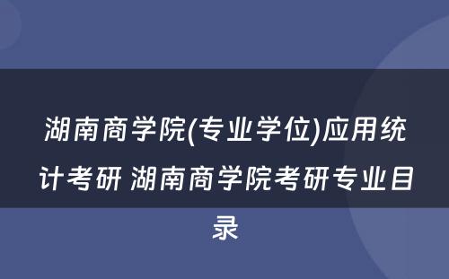 湖南商学院(专业学位)应用统计考研 湖南商学院考研专业目录