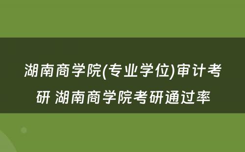湖南商学院(专业学位)审计考研 湖南商学院考研通过率