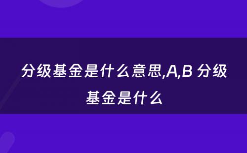 分级基金是什么意思,A,B 分级基金是什么