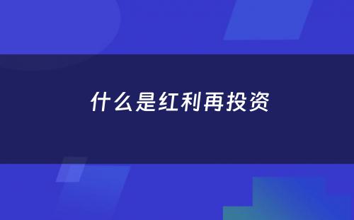  什么是红利再投资